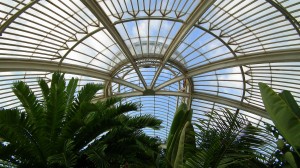 Kew Gardens Palm House interior 3jpg     
